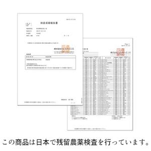 和田玉なつめ 無農薬 500g オーガニック ...の詳細画像2