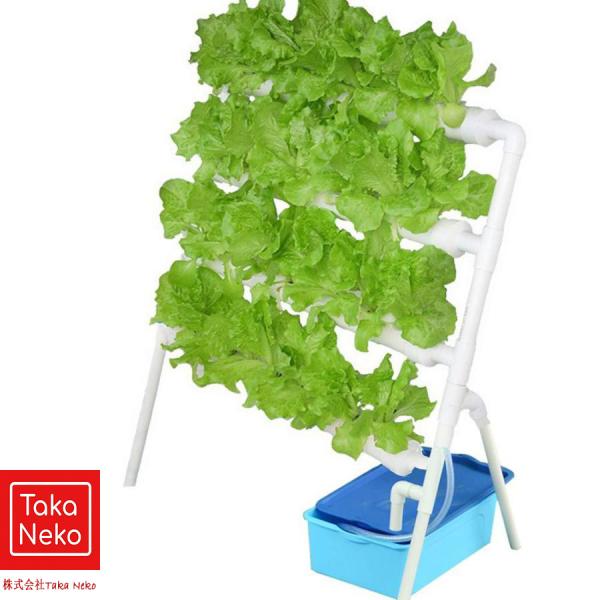 水耕栽培キット すいこう栽培キット 野菜 栽培キット 室内 いちご 家庭菜園 水耕栽培セット プラン...