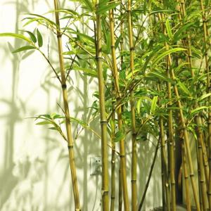 人工観葉植物 ガーデニングフェンス人工竹 イン...の詳細画像3