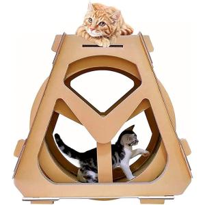 専用　キャットホイール　ONE　FAST　CAT Amazon | One Fast Cat [ALLFORWAN'sLIFE] インタラクティブ