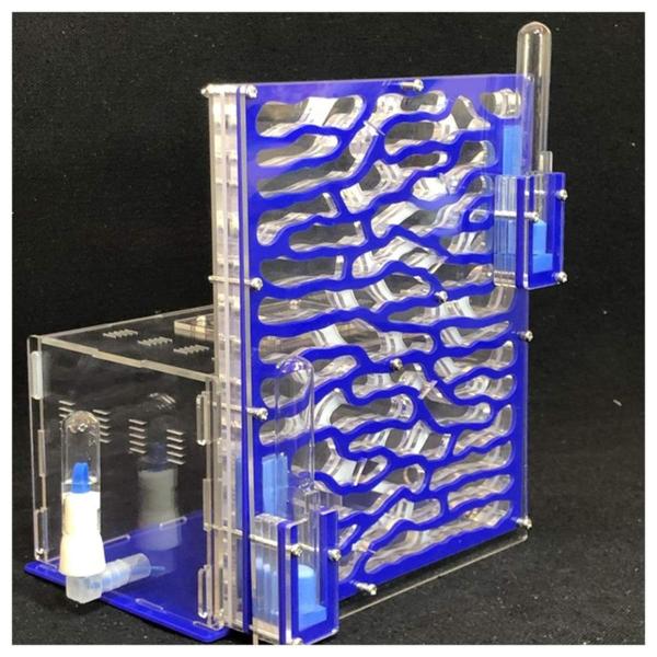 アリの巣 アリ飼育キット 大型 巣箱 アリ活動スペース 観察キット 昆虫ヴィラ 保湿性アリの巣 アク...