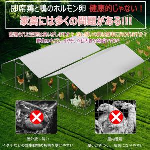 鶏小屋 屋外 大型 亜鉛メッキ鋼製 鶏舎 高耐...の詳細画像2