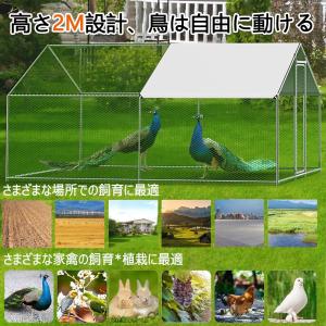 鶏小屋 屋外 大型 亜鉛メッキ鋼製 鶏舎 高耐...の詳細画像3