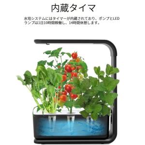 水耕栽培キット スタイリッシュ コンパクト 水...の詳細画像2
