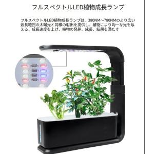 水耕栽培キット スタイリッシュ コンパクト 水...の詳細画像3