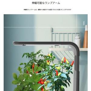 水耕栽培キット スタイリッシュ コンパクト 水...の詳細画像4