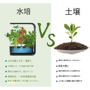 水耕栽培キット スタイリッシュ コンパクト 水...の詳細画像5