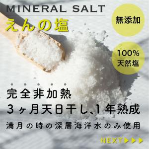 天然天日塩250g 送料無料 えんの塩 塩 ソ...の詳細画像1