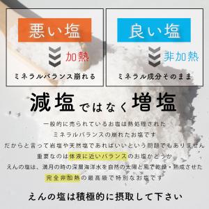 天然天日塩250g 送料無料 えんの塩 塩 ソ...の詳細画像2