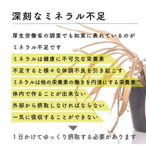 天然天日塩250g 送料無料 えんの塩 塩 ソ...の詳細画像3