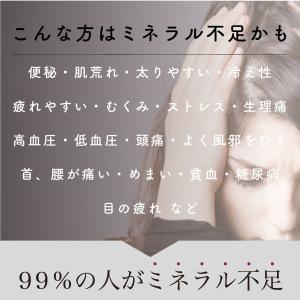 天然天日塩250g 送料無料 えんの塩 塩 ソ...の詳細画像4