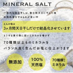 天然天日塩250g 送料無料 えんの塩 塩 ソ...の詳細画像5