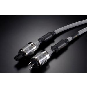 TIGLON 記念モデル TiGLON ティグロン MSS-DF100SP-HSE/2.5m/YB Y→B