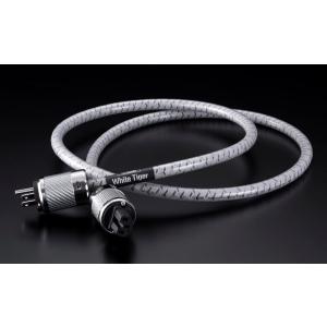 TIGLON 記念モデル TiGLON ティグロン MSS-DF100SP-HSE/2.5m/BY B→Y