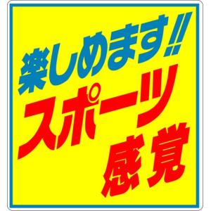 マグネットプレート（大）スポーツ感覚｜xmat