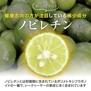 3個買うと携帯ケースプレゼント ノビレチンのチ...の詳細画像2
