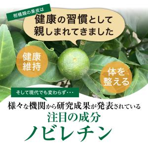 3個買うと携帯ケースプレゼント ノビレチンのチ...の詳細画像3