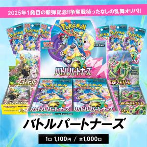 バトルパートナーズ 1円送料無料 今月のサービス品 ポケモン バトルパートナーズ 1円送料無料 今月のサービス品 ポケモン