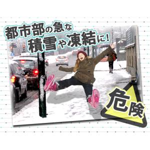 アイススパイク 靴用 滑り止め 雪 スノースパ...の詳細画像2