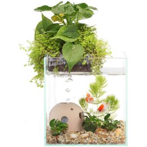 水耕栽培 観葉植物 水槽 観葉植物 の商品一覧 花 ガーデニング 通販 Yahoo ショッピング