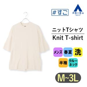 【洋服の青山】すごシャツ ニット Tシャツ メンズ 半袖 春夏 ホワイト 白無地 洗える 洗濯 ウォッシャブル 清潔 毛玉抑制 クルーネック 丸首 A(スタイリッシュ)｜y-aoyama