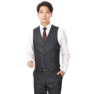 秋冬用 ネイビー系 【ストライプ】スタイリッシュオッドベスト PERSON'S FOR MEN｜y-aoyama