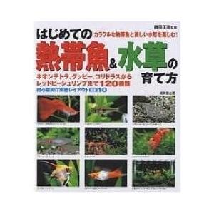 テトラ 熱帯魚 種類 レッドの商品一覧 通販 Yahoo ショッピング