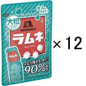 森永製菓 大粒ラムネ ミント タブレット の商品一覧 スナック お菓子 おつまみ 食品 通販 Yahoo ショッピング