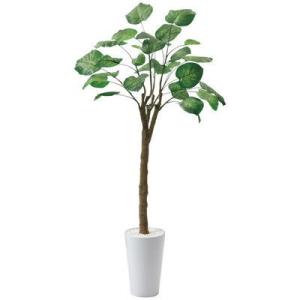 ウンベラータ フェイク 観葉植物 の商品一覧 花 ガーデニング 通販 Yahoo ショッピング