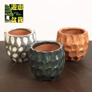 盆栽鉢 銭号外縁上下帯長方鉢 常滑 泥鉢 9号 26cm 紫泥 松柏盆栽 中品