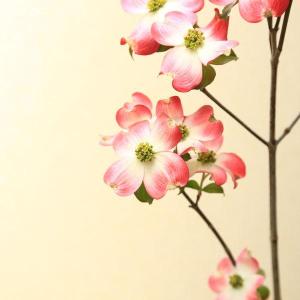 母の日ギフト 2026:花水木(はなみずき)*...の詳細画像2