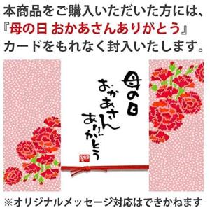 遅れてごめんね母の日ギフト 2026:母の日開...の詳細画像5