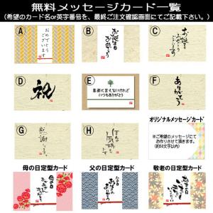 小品盆栽:五葉松(瀬戸焼小鉢)*受け皿付き 鉢...の詳細画像4