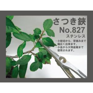 盆栽道具:兼進作 小枝切鋏 No.827*資材の詳細画像5