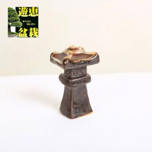 中品盆栽：美男葛(ビナンカズラ) 現品*びなんかずら Kadsura : 遊恵
