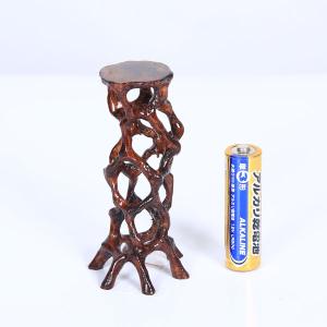 サボテン：フェロカクタス レッペンハーゲニー*幅13cm 現品！一品限り