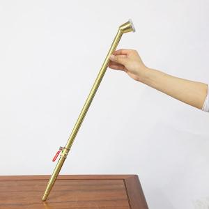 盆栽：特選皐月(金采)現品*さつき サツキ Rhododendron indicum