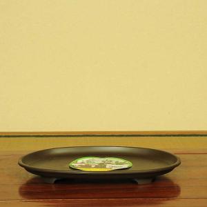 盆栽小鉢：美芸（常滑）六角鬼面足面付鉢 21.5cm*資材 : 遊恵盆栽