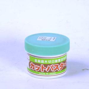 カットパスター(小) 190g *資材の詳細画像1