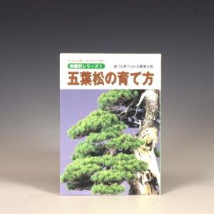 本：五葉松の育て方*資材｜y-bonsai