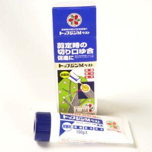 盆栽小鉢：美芸（常滑）六角鬼面足面付鉢 21.5cm*資材 : 遊恵盆栽