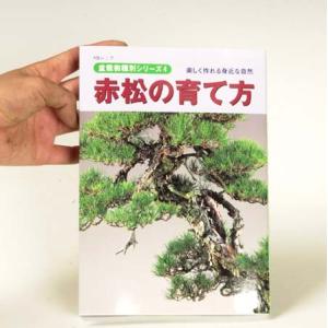 本：赤松の育て方*資材｜y-bonsai
