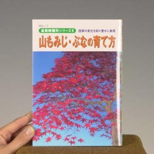 本：山もみじ・ぶなの育て方*資材｜y-bonsai