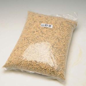 貴船糸掛石*（一品限り 現品物） : 遊恵盆栽 Yahoo!店 - 通販 - Yahoo