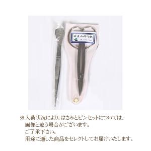盆栽道具:初心者用盆栽デビューセット*セット割...の詳細画像1