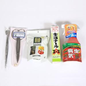 盆栽道具:初心者用盆栽デビューセット*セット割...の詳細画像3