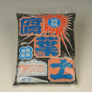 珪酸塩白土-ミリオンA 500g（ブロックシリコ） : 植物・園芸専門店