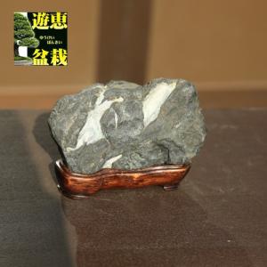 水石：千軒石 現品*資材センゲン : 遊恵盆栽 Yahoo!店 - 通販