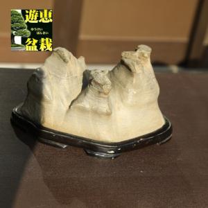 水石：室戸鉄丸石『茶ノ湯』 現品*資材 : 遊恵盆栽 Yahoo!店 - 通販