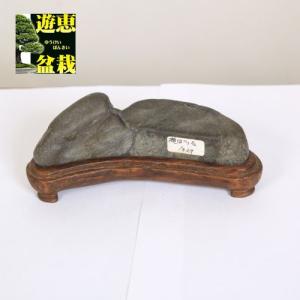 水石：筑前山口川石 現品*資材 チクゼンヤマグチガワ : 遊恵盆栽 Yahoo